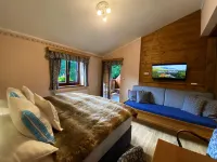 Hotel Na Dolině Hotels in Celadna