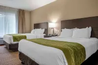 Comfort Inn Hotels in Dunbar Township