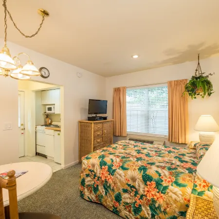 The Cozy Inn