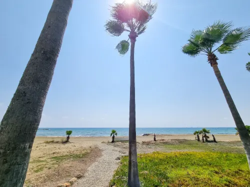 Beach Vibes Apartment