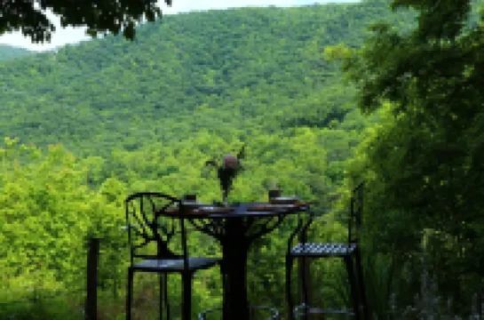 Mountain Getaway For Couples! 17 miles to Asheville, Pet Friendly, Hot Tub