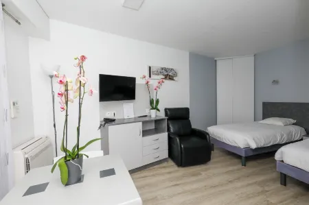 LES TERRASSES DE BORDA Отели в г. Дакс