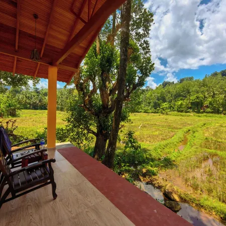 Forest & Fields Sinharaja