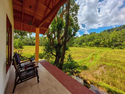 Forest & Fields Sinharaja - Pensions