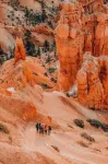 Bryce Glamping Hotels in Garfield County