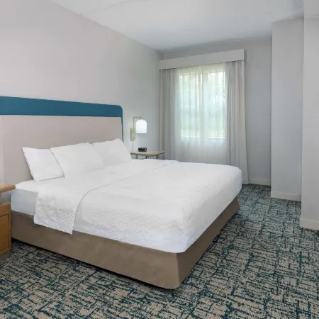 Homewood Suites by Hilton Buffalo - Airport