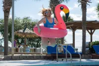 Surf & Sand Hotel - Beach