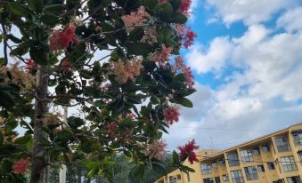 Reserva do Sahy, Condado 2/305