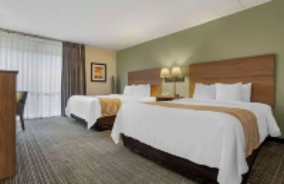 Quality Inn & Suites NRG Park - Medical Center Hotels in Houston