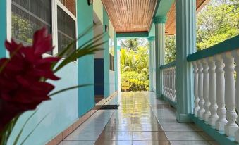 Seagrape Plantation Resort & Dive Center
