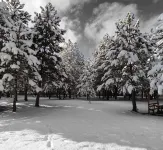 Fikri Atalay Konagi Hotels in Gerede