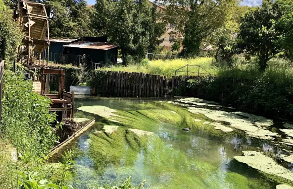 林貢阿爾貝戈酒店