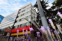 Casa Romita Hotels in 