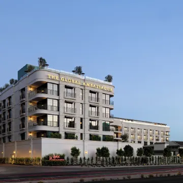 The Global Ambassador