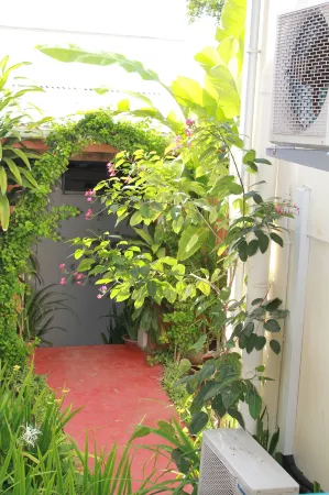 Pacific Paradise Motel