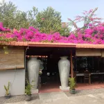 Palms Villa
