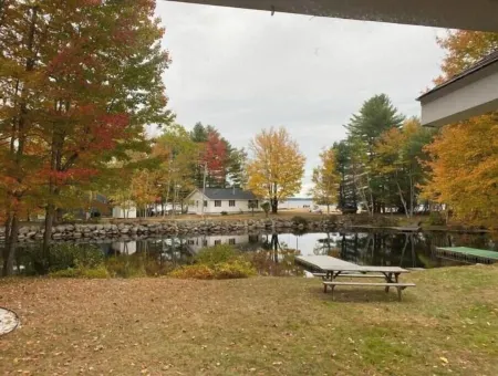 Spring into Summer at Turtle Lane Cottage