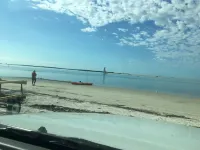 Ozona Guesthouse! 3 Blocks to Pinellas Trail, Brewery, Eats, & Dog Friendly!