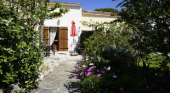 Pretty holiday home on the Giens peninsula, Var, Provencal decor