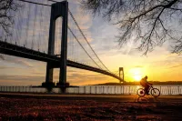 Charming Studio with Rooftop Access and Cozy Amenities - Tranquil Escape