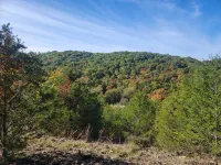 Nature Retreat with Glass Room and Fire Pit - Enchanting Forest Haven Hotel a Carroll County