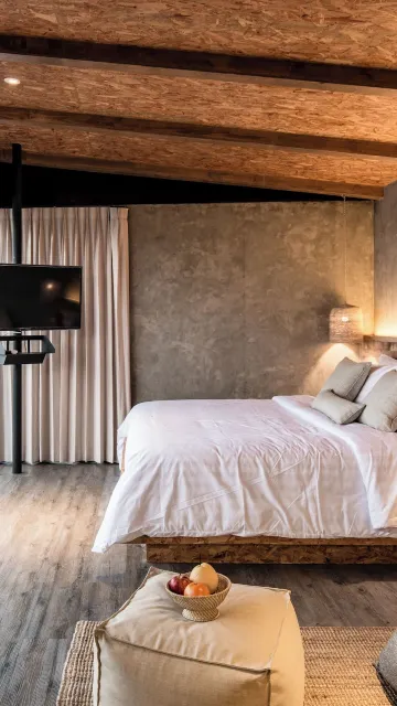 Escape North Standard