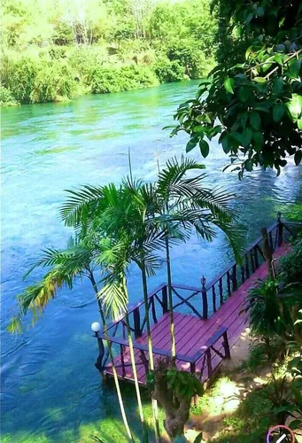 รูปภาพของบ้านพักริมเขื่อนรีสอร์ต