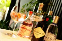 Lifestyle Hotel Vitar - bar