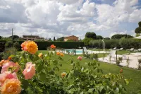 Rosa di Assisi Hotels in Ospedalicchio