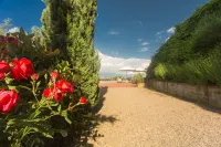 Old Tuscany's Hills - Beautiful House Close to Florence