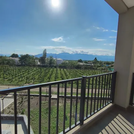 Buena Vid by Chadel Management