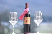普里斯塔威克之家酒店 - 民宿