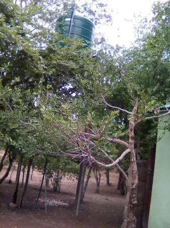 Naumba Camp Site Отели в г. Itezi-Tezi