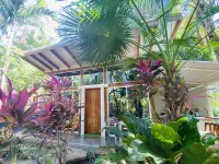 Fuego Lodge Hotels in Cobano