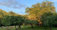 Hope Orchard