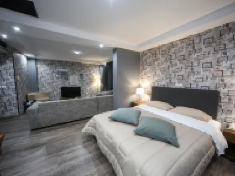 雅典娜機場酒店 塞爾米酒店