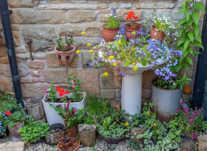 Shaftoe's Bed and Breakfast