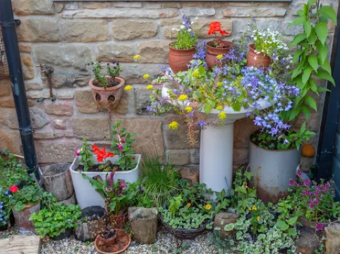 Shaftoe's Bed and Breakfast