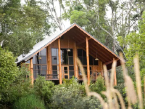 The Canopy Rainforest Treehouses & Wildlife Sanctuary Hotels in Malanda