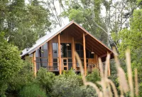 The Canopy Rainforest Treehouses & Wildlife Sanctuary Hôtels à : Malanda