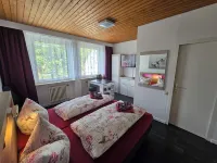 Pension Hamburg Hotels in Wildemann