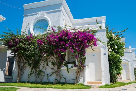 Art Suites Hotel Отели в г. Yalikavak