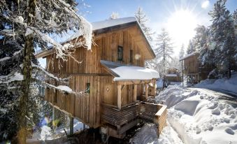 Lovely Chalet in Turracherhohe with Sauna