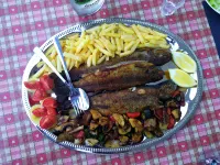 Guest House Sara Latin Hotels in Donji Cerovac