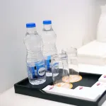 هوتل جراند جودوين فنادق في نيودلهي