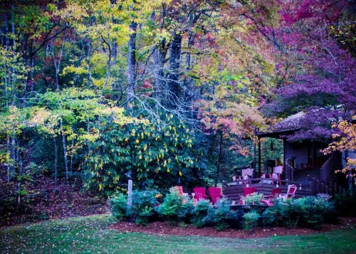 Awesome Cottage, Views, Waterfalls, Cute animals, streams, privacy, easy access