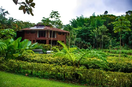 Macaw Lodge