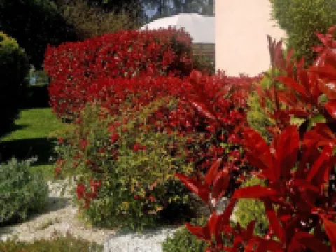 Hotel Forum Hotels in Rozzano