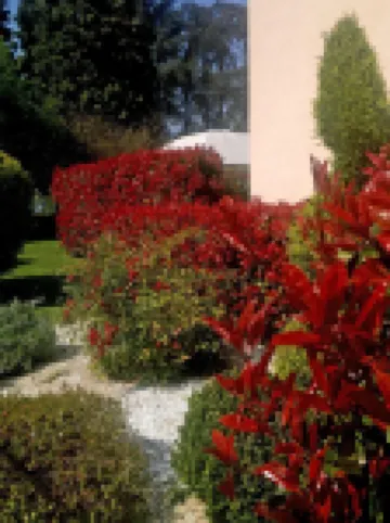 Hotel Forum Các khách sạn ở Rozzano