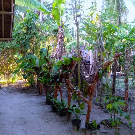Acuario Beach Inn